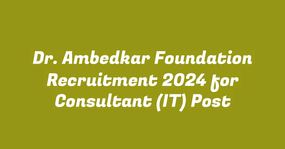 Dr. Ambedkar Foundation Recruitment 2024 for Consultant (IT) Post