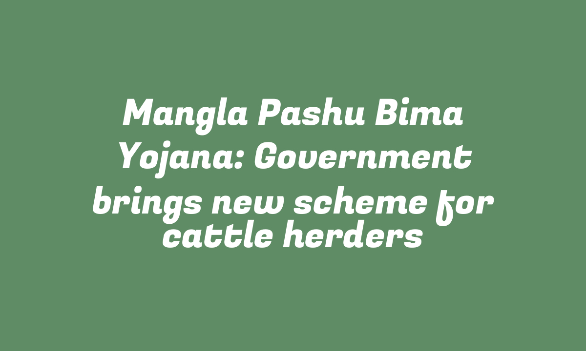 Mangla Pashu Bima Yojana: Government brings new scheme for cattle herders