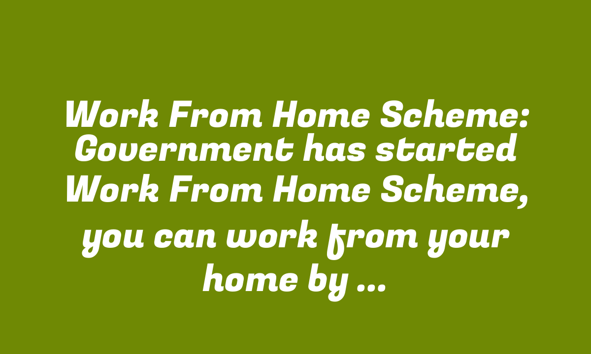 Work From Home Scheme: Government has started Work From Home Scheme, you can work from your home by availing the benefits.