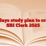 30 days study plan to crack SBI Clerk 2025