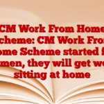 CM Work From Home Scheme: CM Work From Home Scheme started for women, they will get work sitting at home