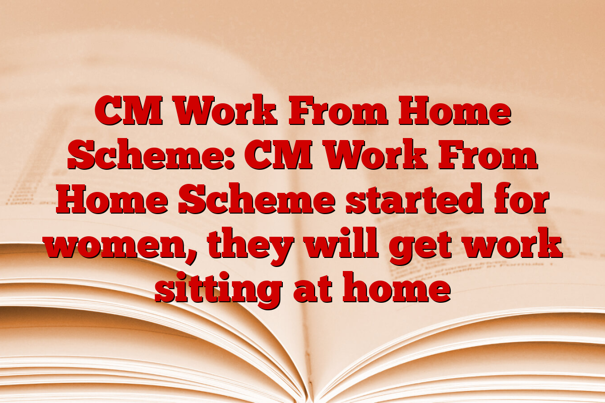 CM Work From Home Scheme: CM Work From Home Scheme started for women, they will get work sitting at home