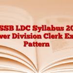 DSSSB LDC Syllabus 2025, Lower Division Clerk Exam Pattern