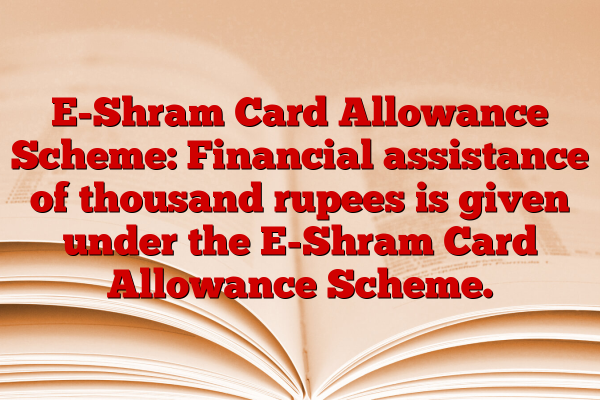 E-Shram Card Allowance Scheme: Financial assistance of thousand rupees is given under the E-Shram Card Allowance Scheme.