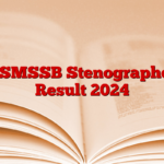 RSMSSB Stenographer Result 2024