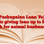 SBI Pashupalan Loan Yojana: SBI is giving loan up to Rs 10 lakh for animal husbandry.