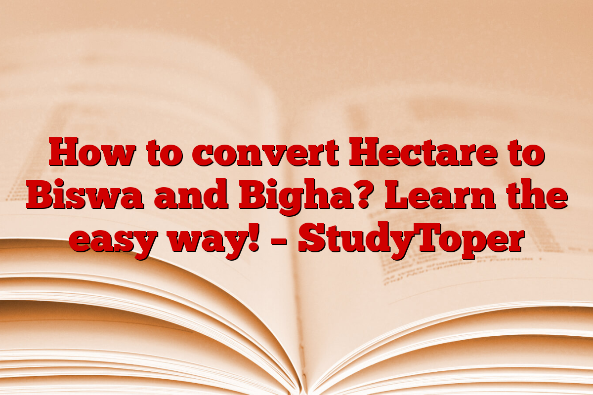 How to convert Hectare to Biswa and Bigha? Learn the easy way! – StudyToper