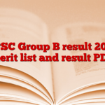 MPSC Group B result 2025, merit list and result PDF