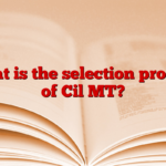 What is the selection process of Cil MT?