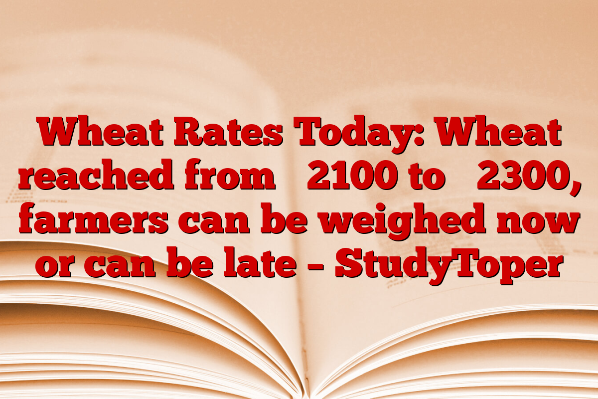 Wheat Rates Today: Wheat reached from ₹ 2100 to ₹ 2300, farmers can be weighed now or can be late – StudyToper