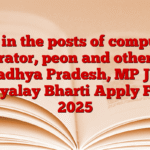 Job in the posts of computer operator, peon and others in Madhya Pradesh, MP Jila Nyayalay Bharti Apply Form 2025